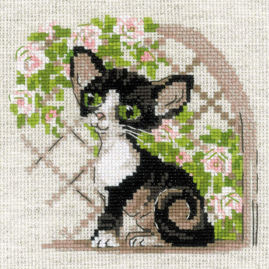 Kit de Bordado de Punto de Cruz - "Cornish Rex Kitten" - Riolis 2121 - Punto y Arte