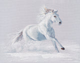 Cross Stitch Kit "Grace in Motion" S1668