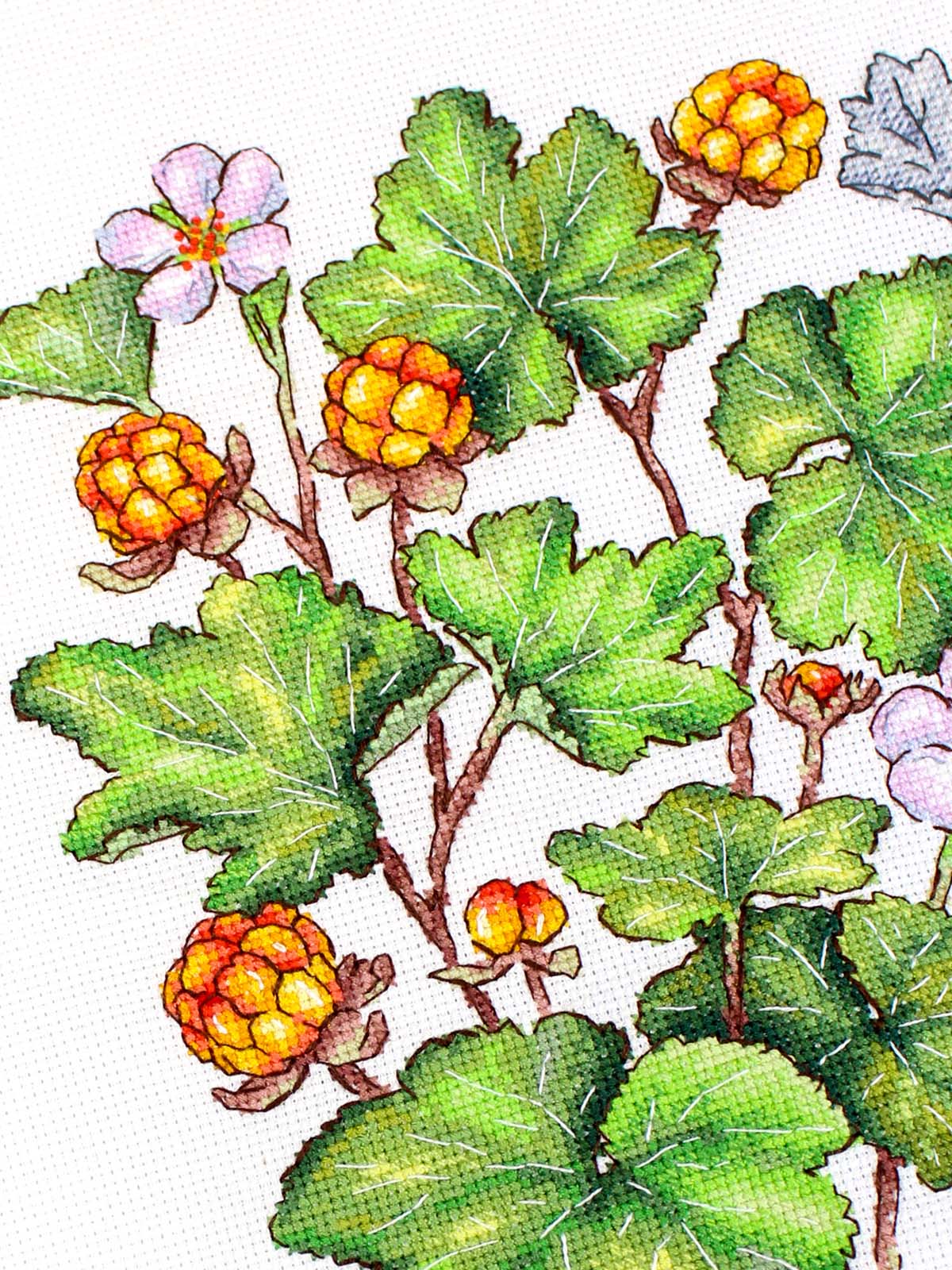 Cross Stitch Kit "Cloudberry" MP Studia SNV-930 - Botanical wild berries 28x19 cm Aida 16 ct