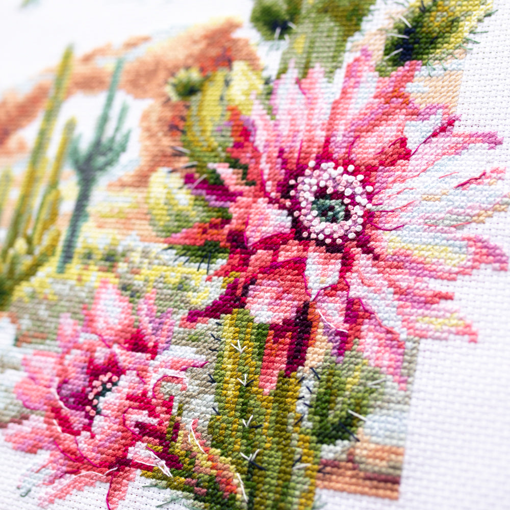 550-758 Flores del Salvaje Oeste. Kit de Punto de Cruz Magic Needle