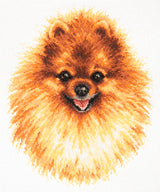 59-22 Pomeranian. Kit de Punto de Cruz Magic Needle