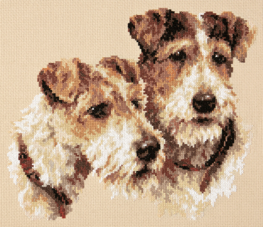 59-26 Fox Terriers. Magic Needle Cross Stitch Kit