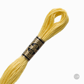 Hilo de bordado DMC Mouliné Spécial 117MC color 3822 algodón mercerizado de 8 metros
