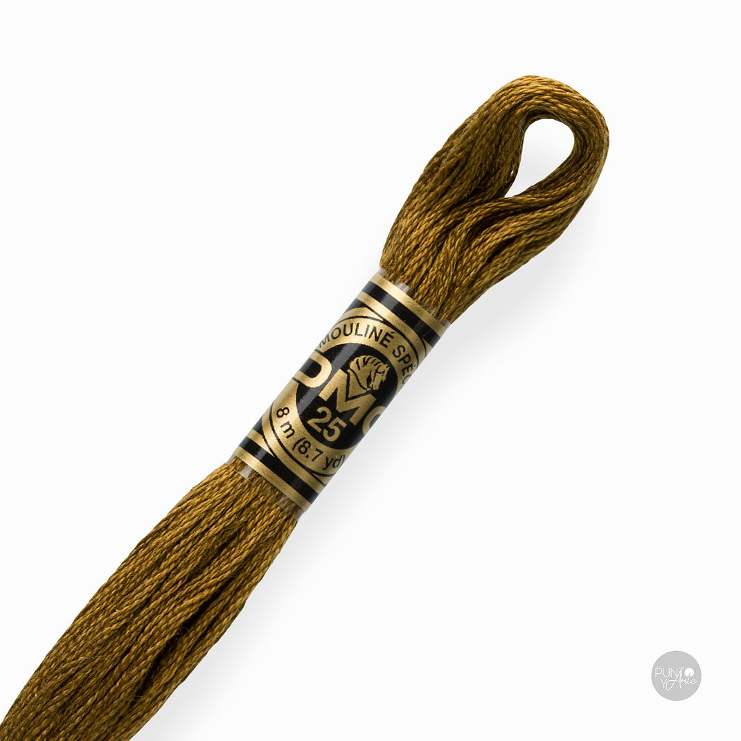 Madeja de hilo DMC Mouliné Spécial color 829