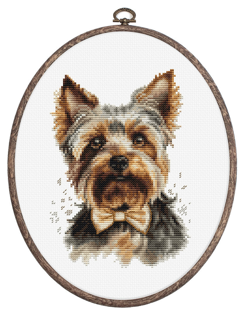 Kit de point de croix - Le Yorkshire Terrier - BC228 Luca-S