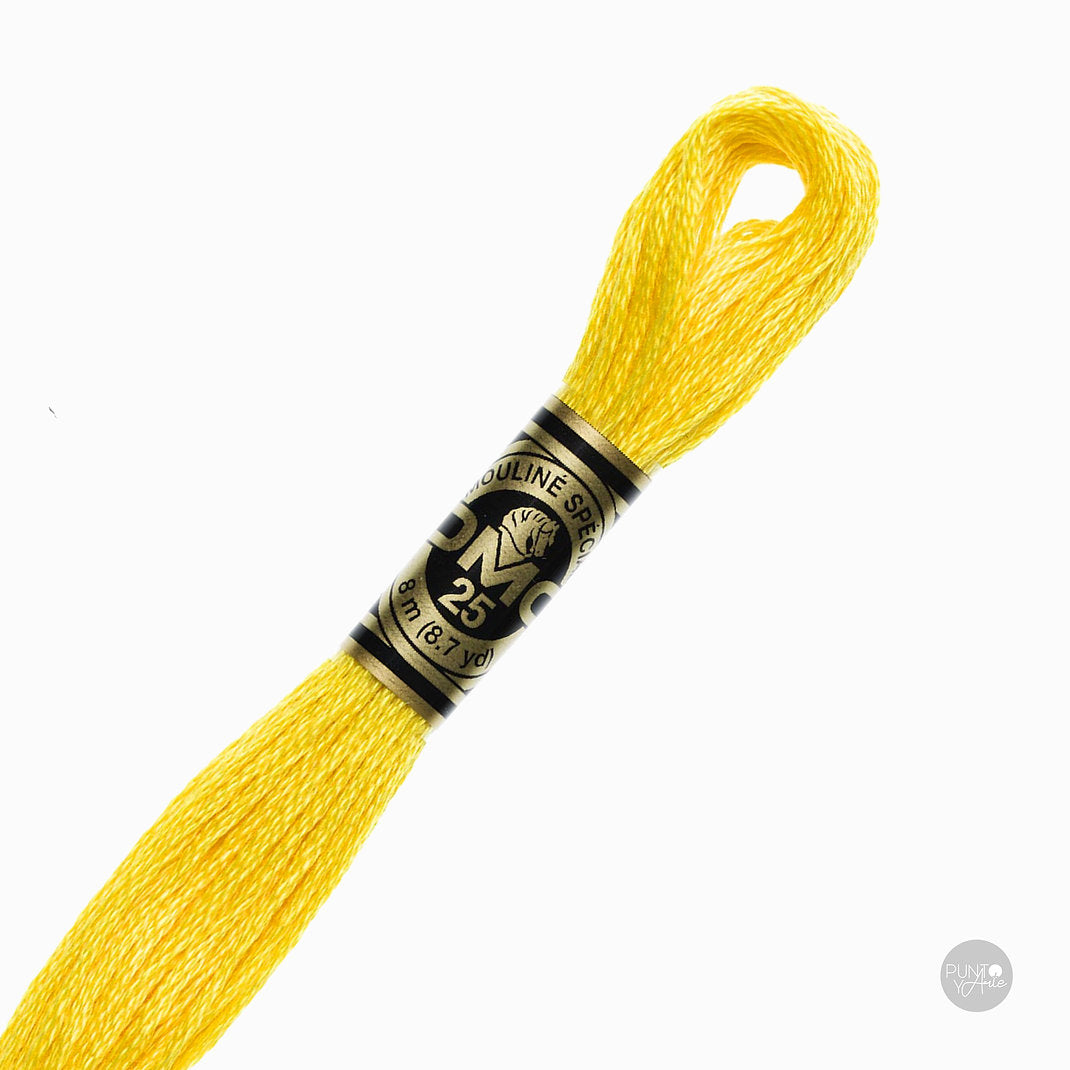 Madeja de hilo DMC Mouliné Spécial color 973