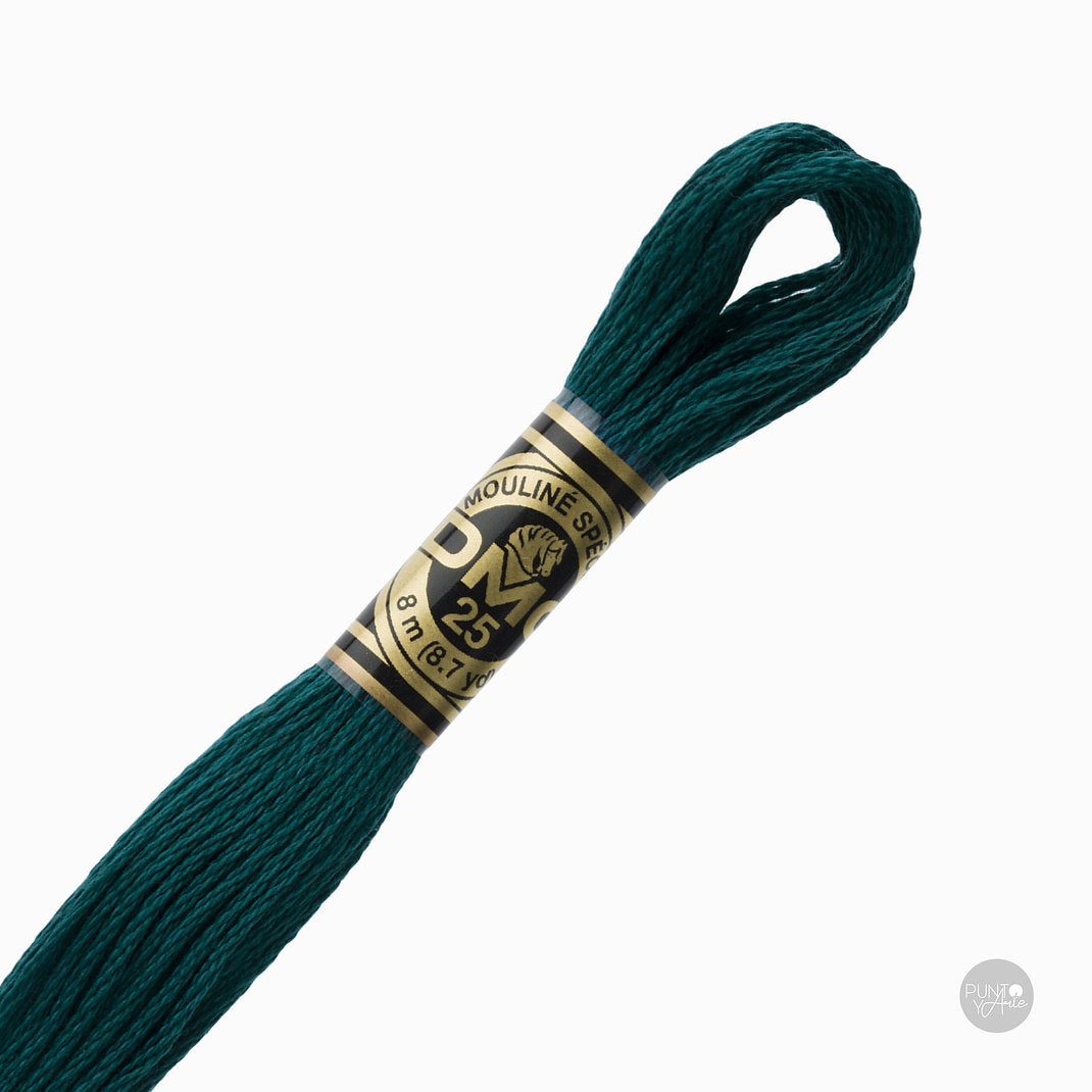 Madeja de hilo DMC Mouliné Spécial color 3808