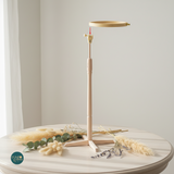 Nurge 190-2 Adjustable Hoop Foot: Quality Support for Embroidery