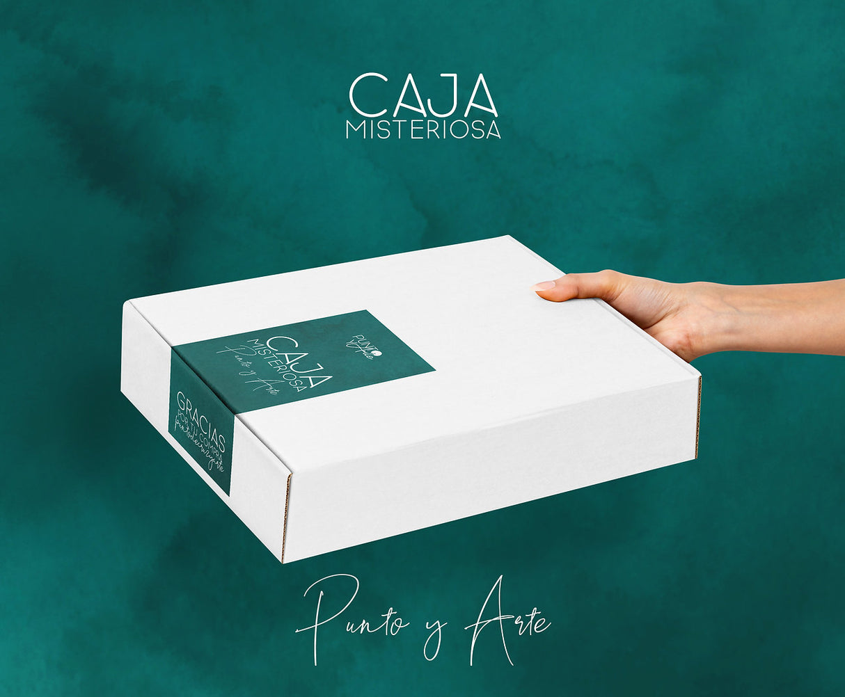 Caja Misteriosa Punto y Arte