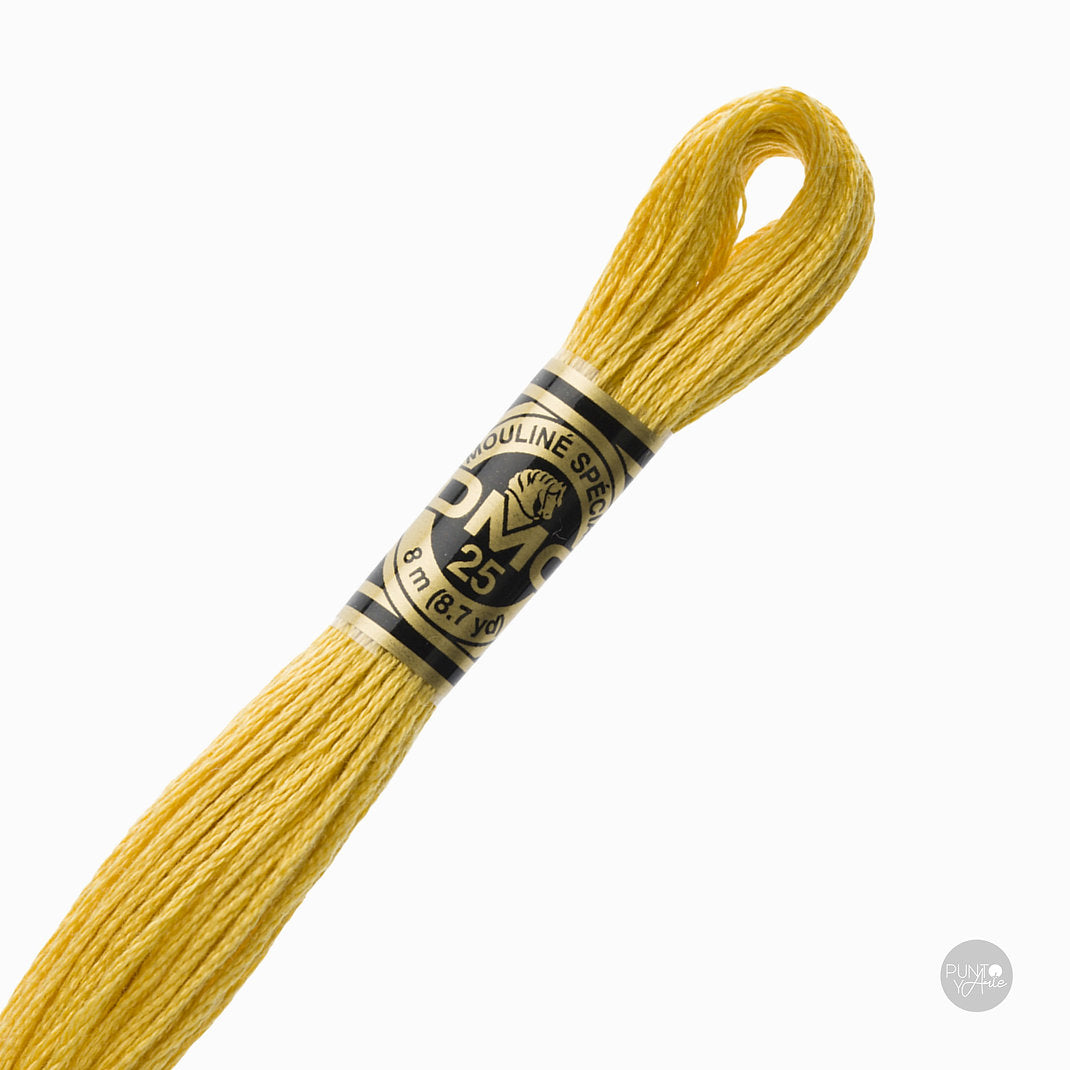 Madeja de hilo DMC Mouliné Spécial color 3821