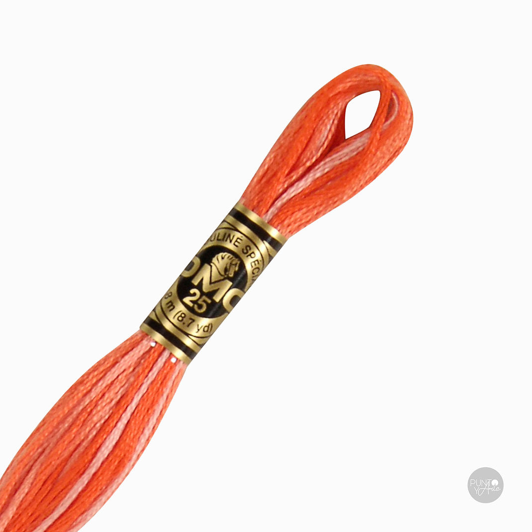 Madeja de hilo DMC Mouliné Spécial color 106
