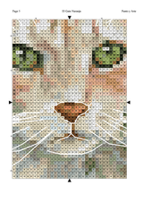 Embroidery Chart "The Orange Cat" - Exclusive Cross Stitch Design Stitch and Art P001