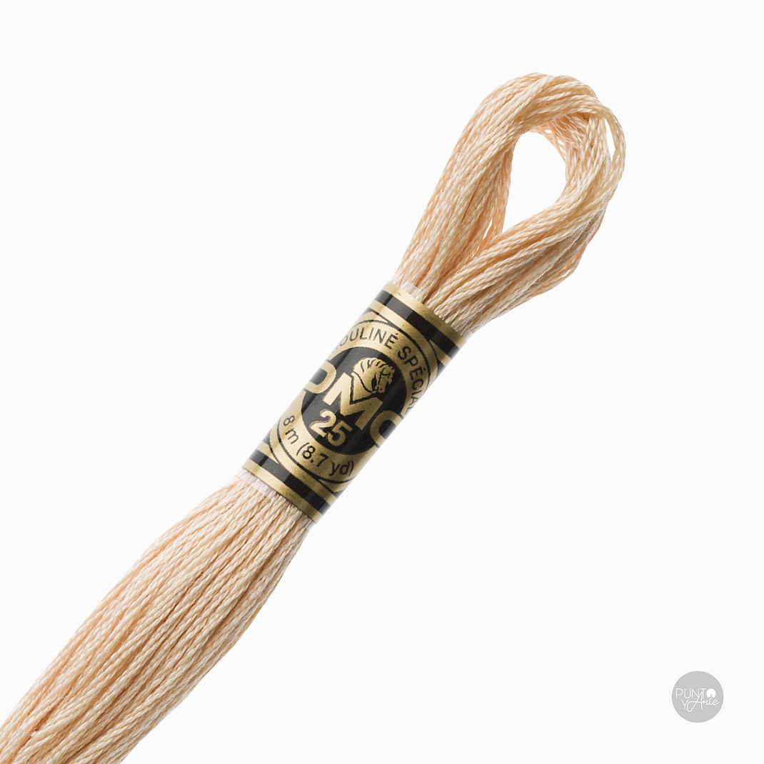 Madeja de hilo DMC Mouliné Spécial color 945