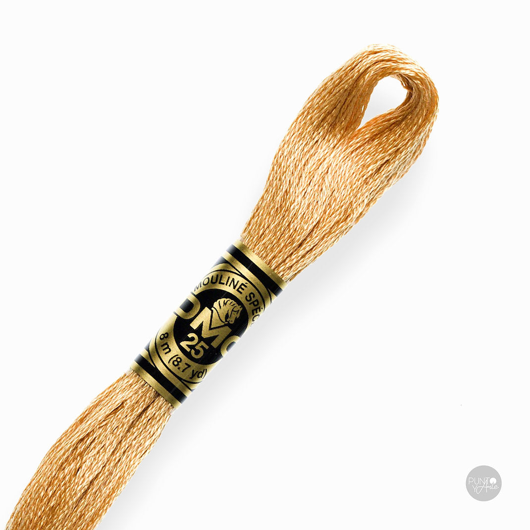 Madeja de hilo DMC Mouliné Spécial color 437