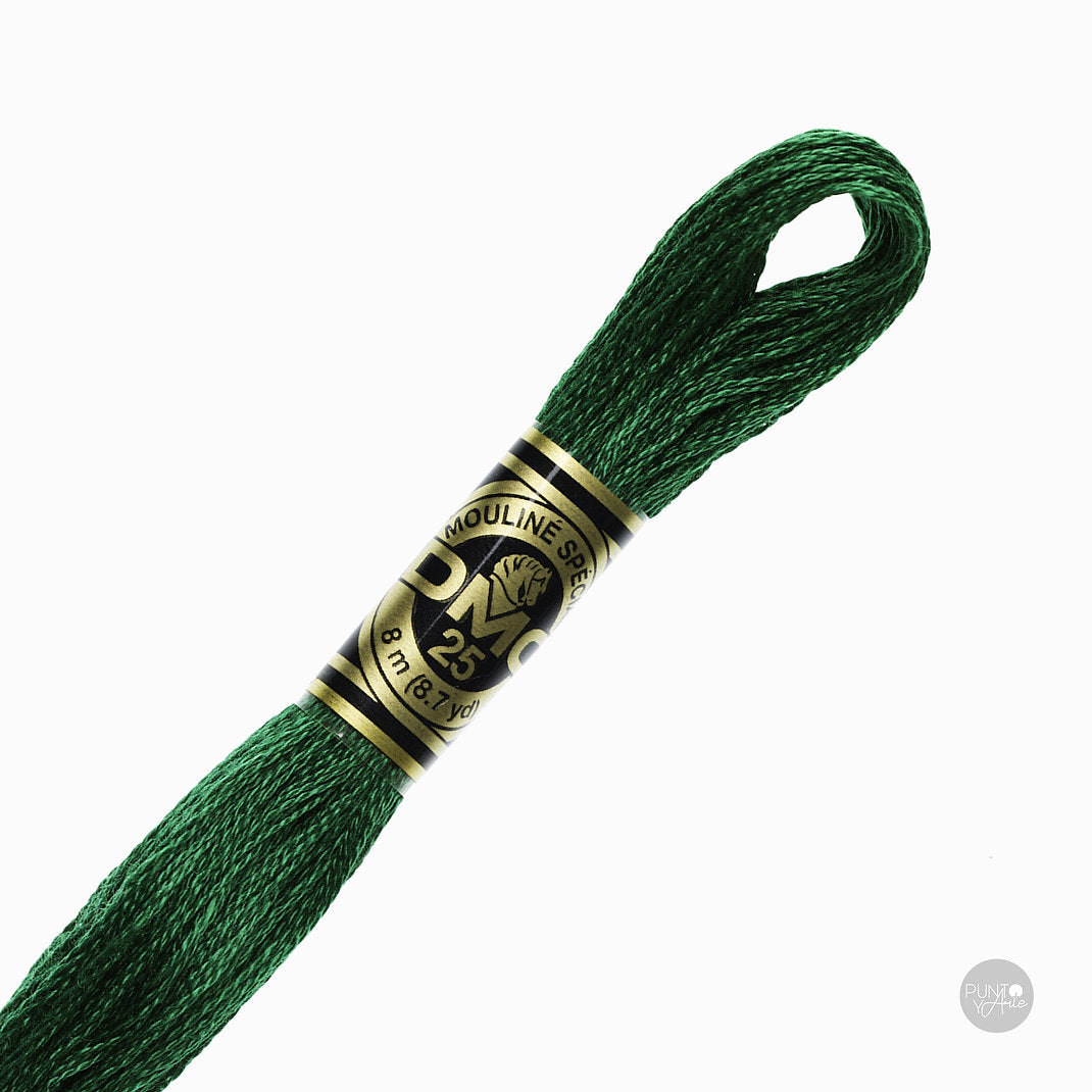 Madeja de hilo DMC Mouliné Spécial color 3818