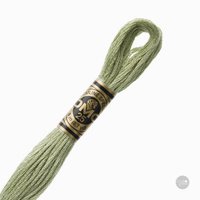 Hilo de bordado DMC Mouliné Spécial 117MC color 3053 algodón mercerizado de 8 metros