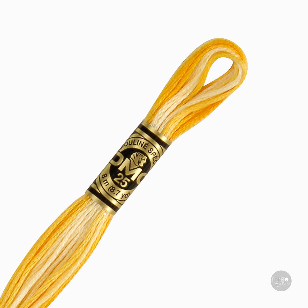 Madeja de hilo DMC Mouliné Spécial color 90