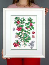 Cross Stitch Kit "Cowberry" MP Studia SNV-928 – Botanical Cranberries 29x20 cm Aida 16 ct