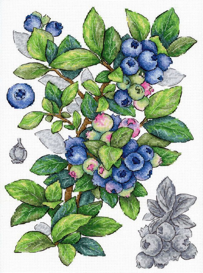 Kit de punto de cruz Blueberry MP Studia con ramas de arándanos azules y hojas verdes en estilo botánico sobre tela blanca