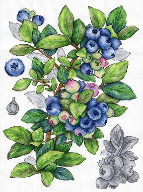 Kit de punto de cruz Blueberry MP Studia con ramas de arándanos azules y hojas verdes en estilo botánico sobre tela blanca