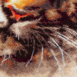 Kit de punto de cruz Magic Needle 70-21 Bengal Tiger Edición Zweigart, 24 x 26 cm
