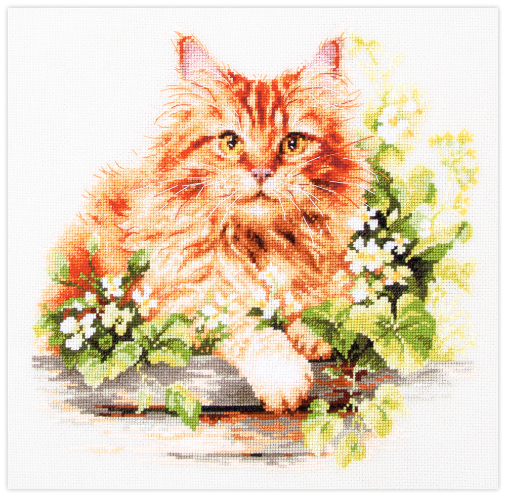 Cross Stitch Kit 70-22 “The Ginger Cat” – Magic Needle