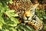 Resting Leopard - 70-35300 Dimensions - Cross Stitch Kit