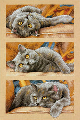 Max the Cat - 70-35301 Dimensions - Cross Stitch Kit