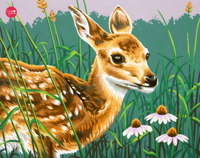 Fawn and Flowers - 73-91447 Dimensions - Paint by Number Kit