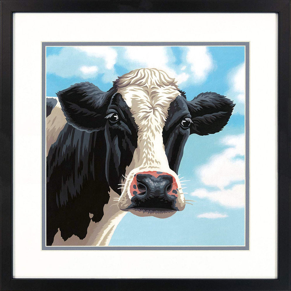 Vache - 73-91731 Dimensions - Kit de peinture par numéro