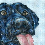 Cross Stitch Kit "Dog in the Snow" 70-65229 by Dimensions