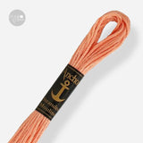 9575 Anchor Stranded Mouliné: Quality and Color for Your Embroidery 