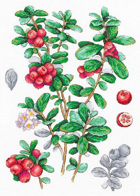 Kit de punto de cruz Cowberry MP Studia con ramas de arándanos rojos y hojas verdes en estilo botánico sobre tela blanca