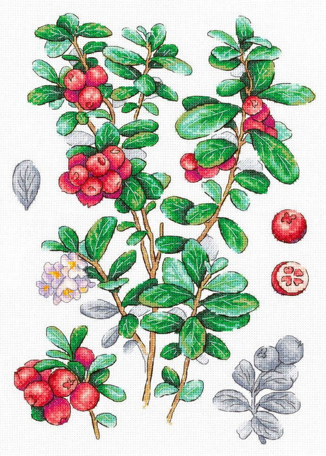 Kit de punto de cruz Cowberry MP Studia con ramas de arándanos rojos y hojas verdes en estilo botánico sobre tela blanca