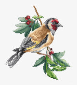 Goldfinch bird - B1197 Luca-S - Kit de Punto de Cruz