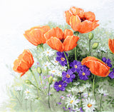 B2368 Poppies - Luca-S - Cross Stitch Kit