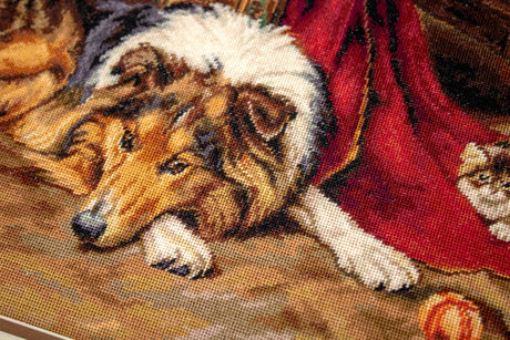 B585 A Reluctant Companion - Luca-S - Cross Stitch Kit