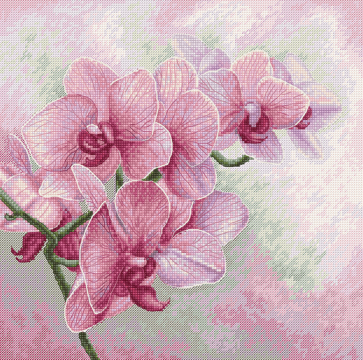 Orquídeas elegantes - B7009 Luca-S - Kit de Punto de Cruz
