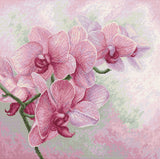 Orchidées élégantes - B7009 Luca-S - Kit de point de croix