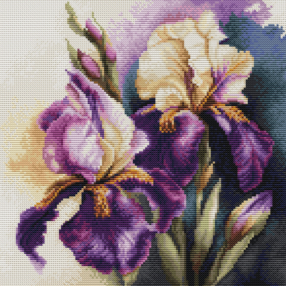 Cross Stitch Kit - Iris “Burgermeister” - B7023 Luca-S