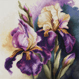 Cross Stitch Kit - Iris “Burgermeister” - B7023 Luca-S