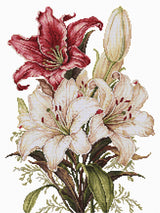 Kit de Punto de Cruz Luca-S - The Scent of Lilies B7054