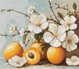 Kit de punto de cruz Luca-S B7062 Apricot Blossom con flores blancas de albaricoque, ramas oscuras y frutos amarillos bordados sobre Aida blanca.