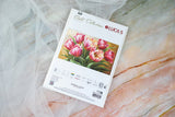 Cross Stitch Kit "Elegant Tulips" – Luca-S GOLD B718