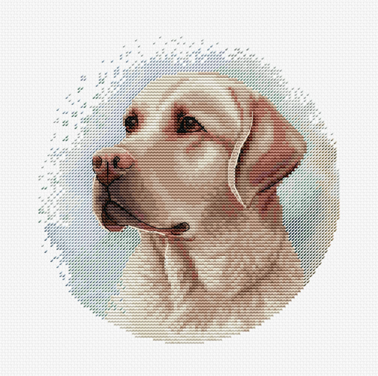 Cross Stitch Kit - The Labrador - BC211 Luca-S