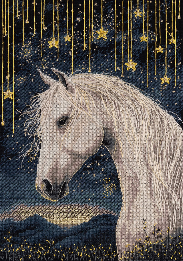 Kit de punto de cruz PANNA Bajo el cielo estrellado PJ-7537 con caballo blanco sobre fondo negro y estrellas doradas