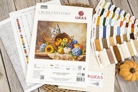 Kit de punto de cruz Luca-S BU5113 Autumn Harvest – contenido y detalles del kit (3)
