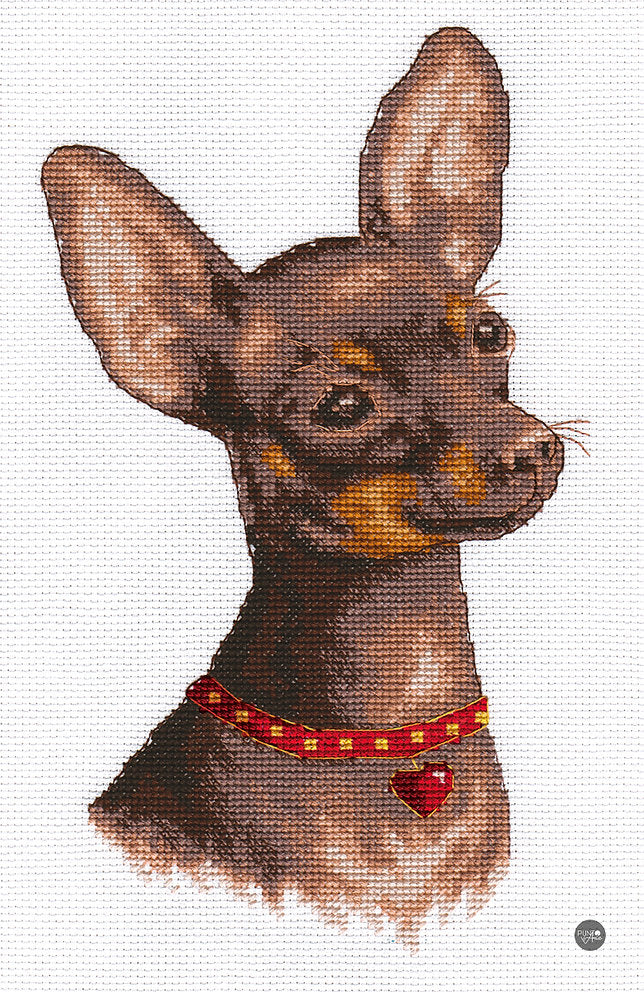 Toy Terrier - Panna - Cross Stitch Kit J-1485