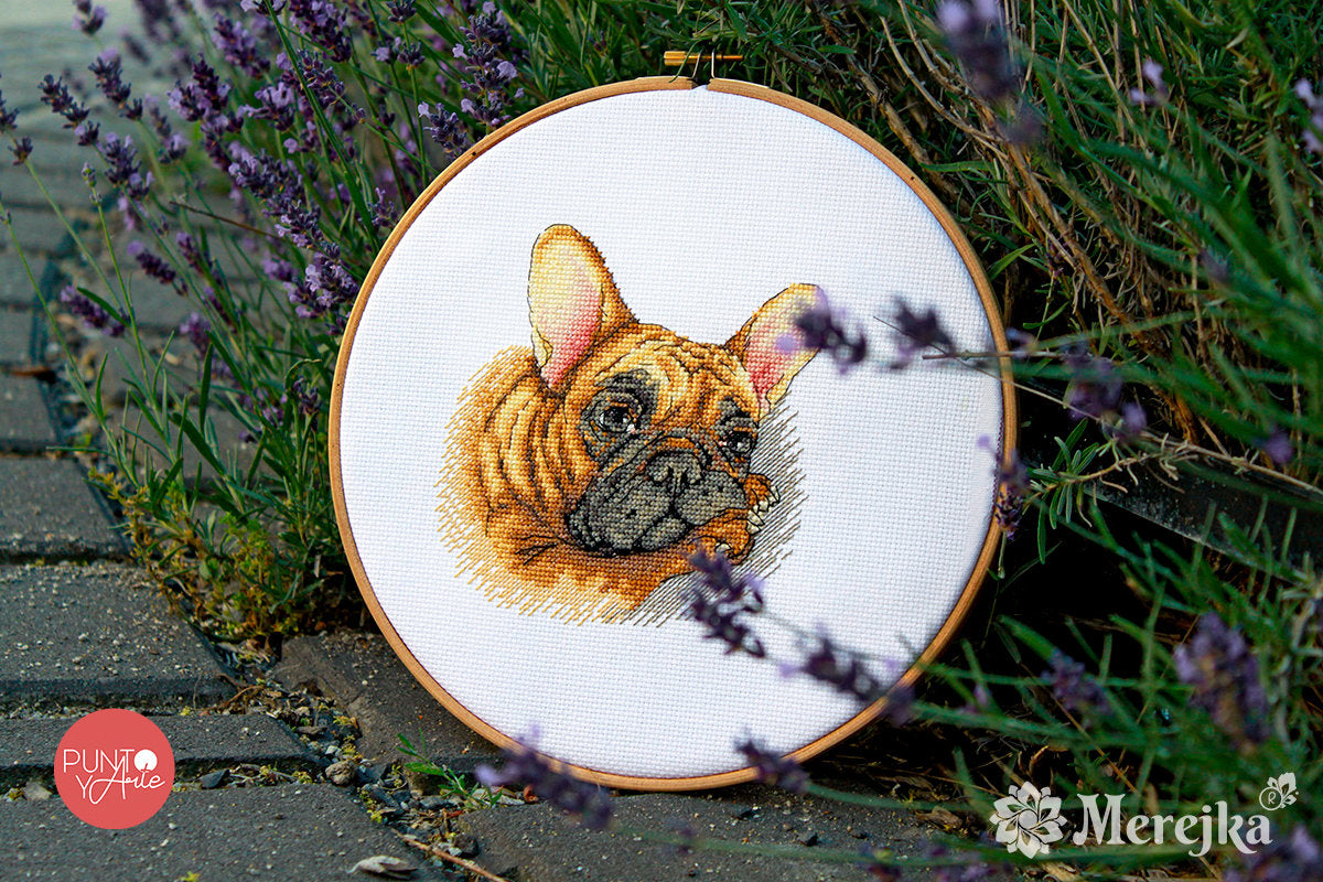 Kreuzstich-Set Merejka K-114 Französischer Bulldogge – Aida 16ct, 15×15 cm