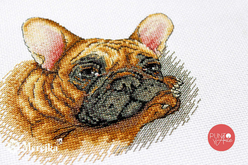 Kreuzstich-Set Merejka K-114 Französischer Bulldogge – Aida 16ct, 15×15 cm